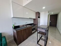 Park Place Residences At Plq (D14), Apartment #473509621